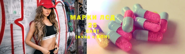 крисы Вязьма