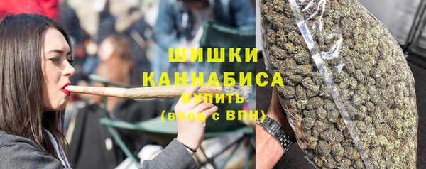 крисы Вязьма