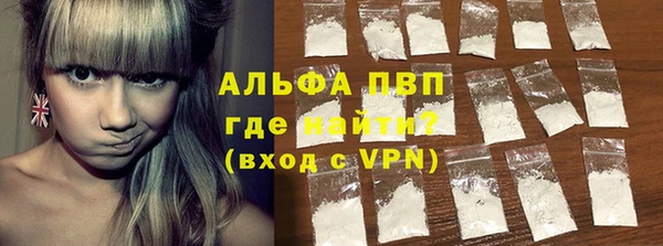 крисы Вязьма