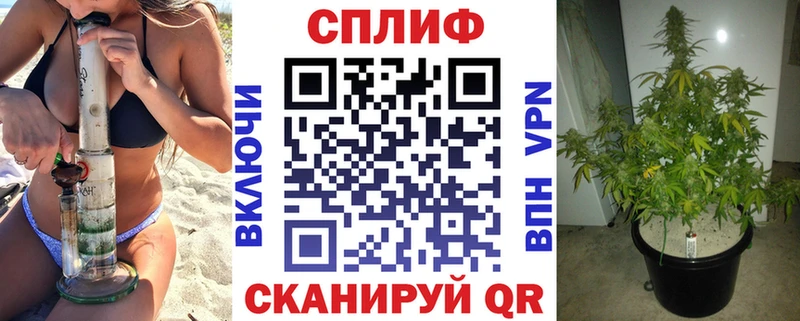 Канабис MAZAR  Купить где  Выкса 